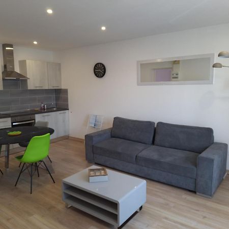 Gite De L'Octroi -Proche Centre Remiremont Apartment Bagian luar foto