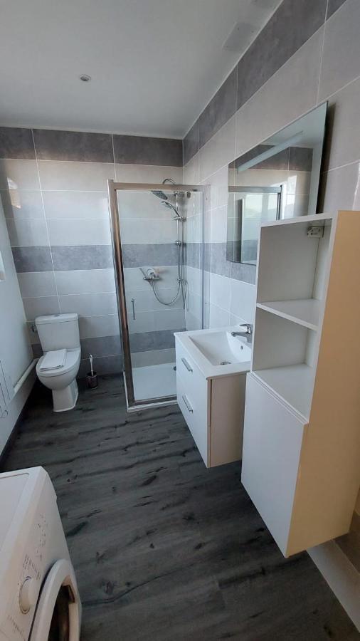 Gite De L'Octroi -Proche Centre Remiremont Apartment Bagian luar foto